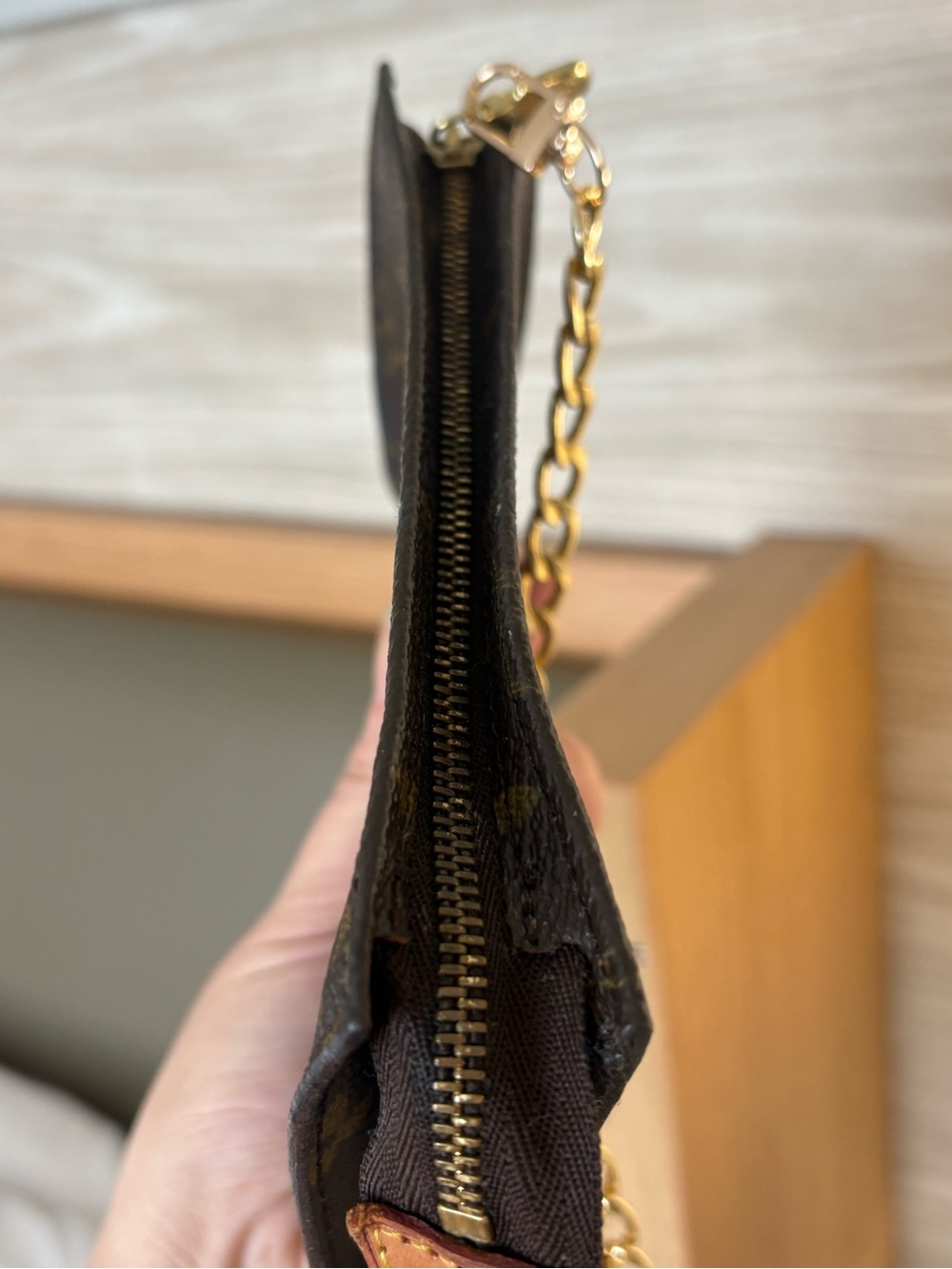 Auth LOUIS VUITTON Monogram Bucket PM Accessory Pouch - Picture 6 of 13